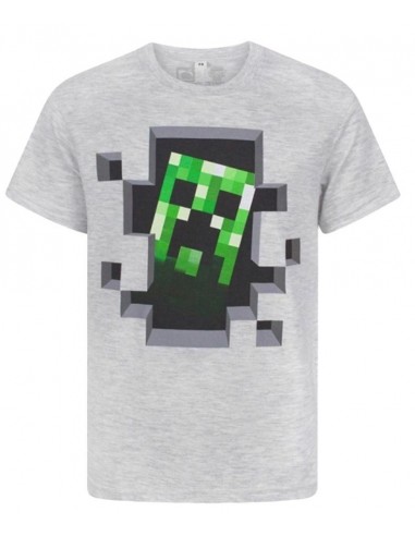 8935-Apparel - Camiseta Gris Minecraft Creeper Inside T - 12/13 anos-5060351094115