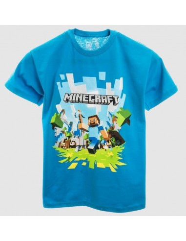 9007-Apparel - Camiseta Azul Minecraft Adventure Log Tee T- 12/13 -5060351096362