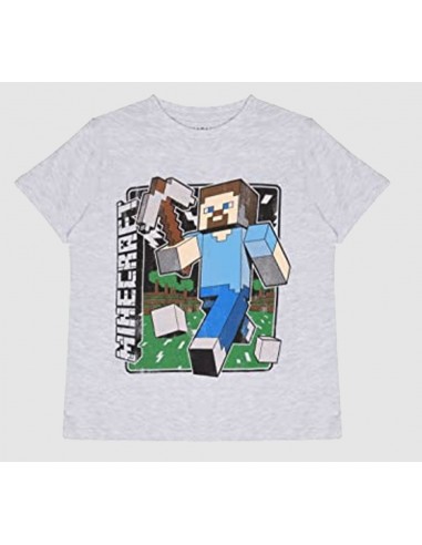 8762-Apparel - Camiseta Gris Minecraft Vintage Steve Tee T- XXL-5055910315251