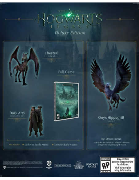 -10616-Xbox One - Hogwarts Legacy Deluxe Edition-5051893242683