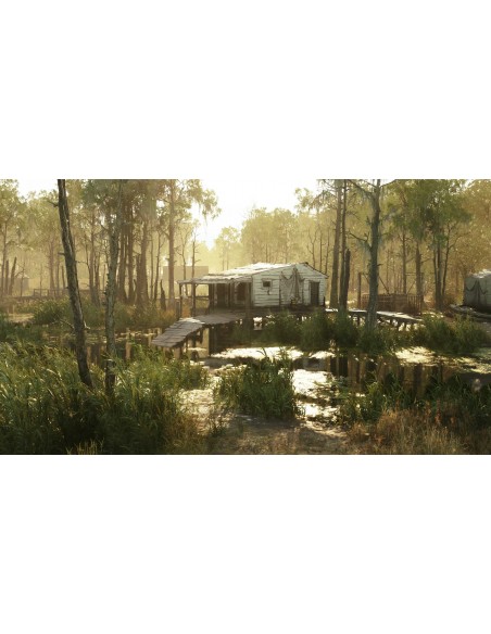 -11424-PS4 - Hunt Showdown Limited Bounty Hunter Edition-4020628626525