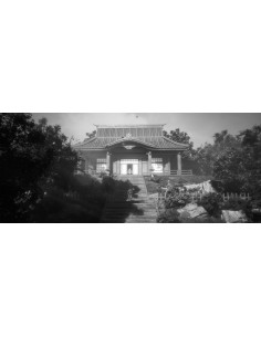 Switch - Trek To Yomi 2