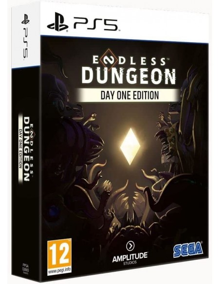 -11717-PS5 - Endless Dungeon Day One Edition-5055277043675