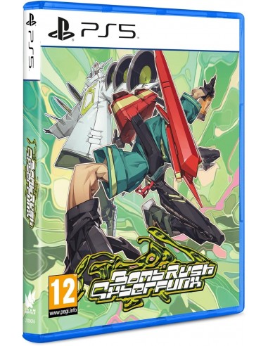 13975-PS5 - Bomb Rush Cyberfunk-0811949036698