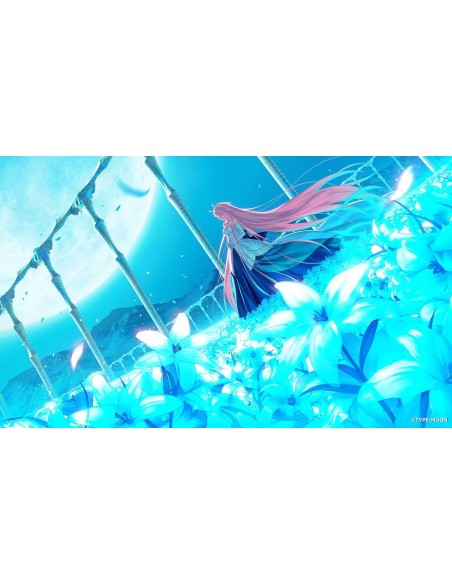 -14456-Switch - Tsukihime A Piece of Blue Glass Moon - Imp - Japan-4534530130518