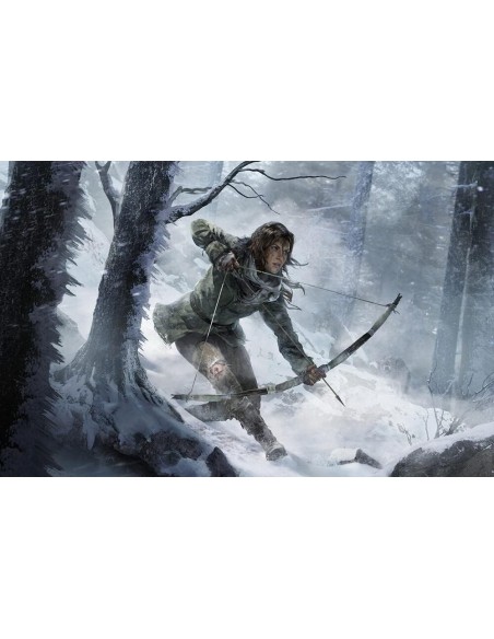 -14077-PS4 - Rise of the Tomb Raider 20 Year Celebration-4020628599317