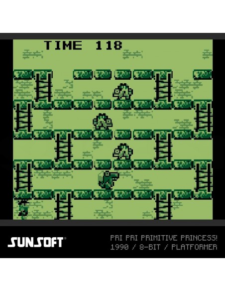 -14820-Retro - Cartucho Evercade Sunsoft Collection 2-5060990240454