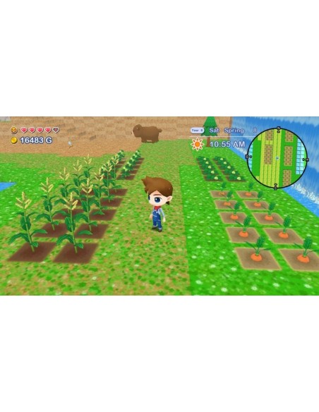 -17059-Switch - Harvest Moon: The Lost Valley & Skytree Village Standard Edition -5060997483496
