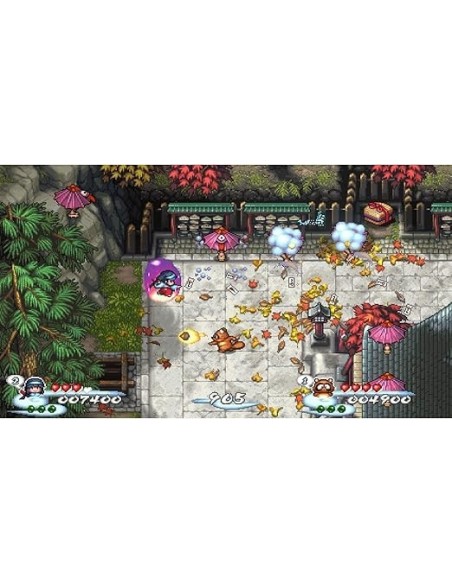 -17191-PS4 - Pocky & Rocky Collector's Edition-4260650743665