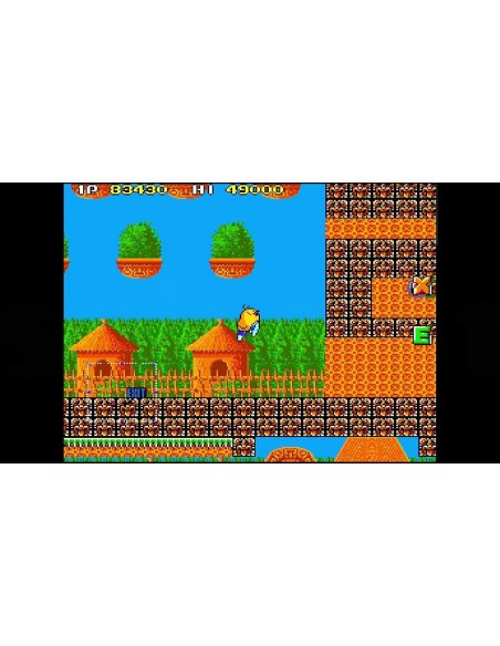 -17237-Switch - Taito Milestones 2-4260650747113