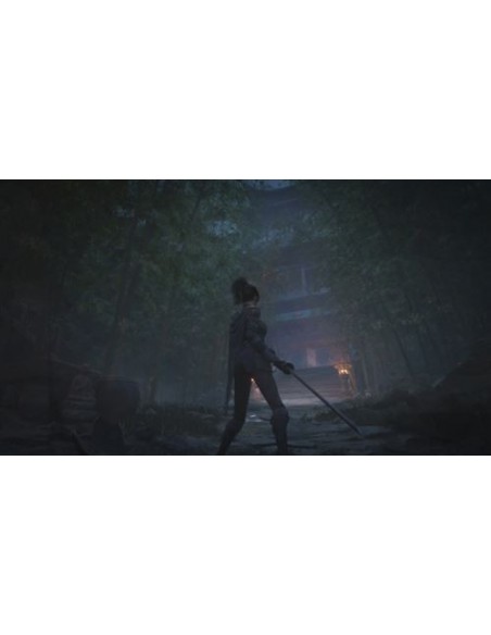 -17395-PS5 - WUCHANG: Fallen Feathers Day 1 Edition-8023171047522