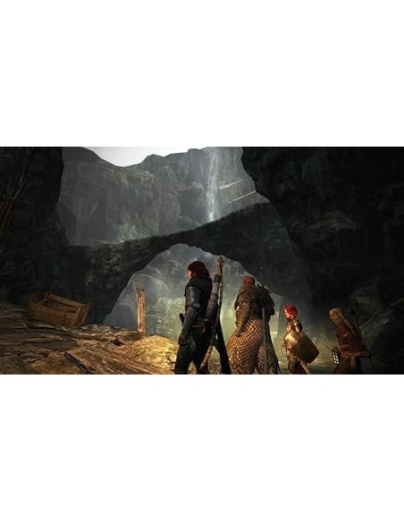 -3110-Switch - Dragons Dogma: Dark Arisen - Import - USA-0013388410125