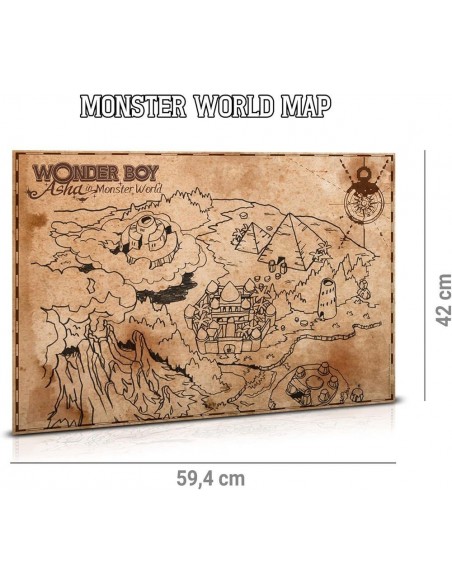 -17248-PS4 - Wonder Boy: Asha in Monsterland Collector's Edition-4260650741869