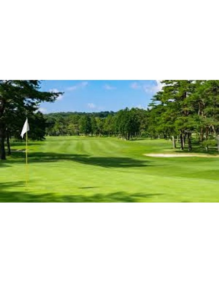 -17677-PS5 - Golden Tee Arcade Classics-5056635618221