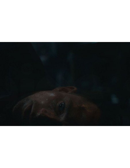 -17779-PS5 - Dead Reset-5056722400111