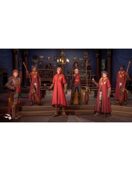 -15529-PS4 - Harry Potter: Campeones de Quidditch Deluxe Edition-5051893243819