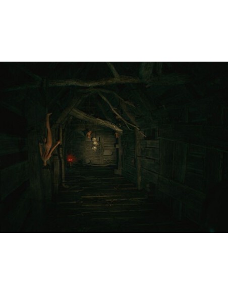 -17768-PS5 - The Sinking Forest-8436016711814