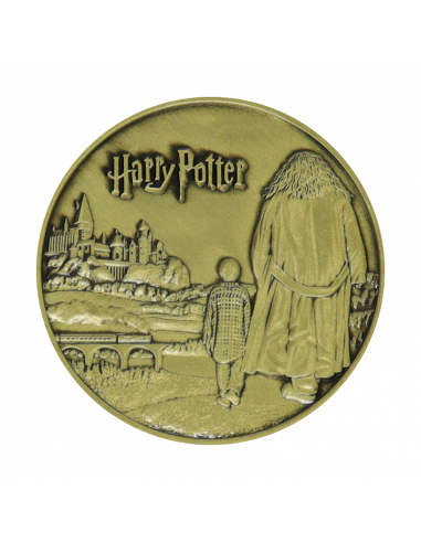 18612-Merchandising - Harry Potter Limited Edition Rubeus Hagrid Collectible Coin-5060948291002
