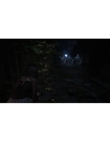 -18806-PS5 - Fatal Frame II: Crimson Butterfly Remake-5060327538209