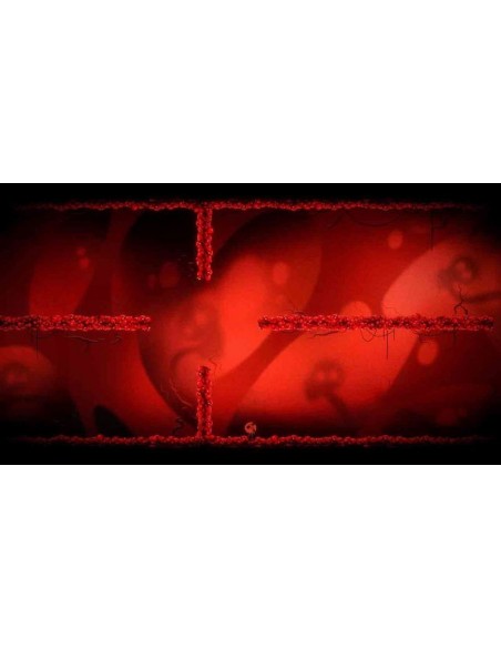 -19107-Switch - Ugly-5056635607843