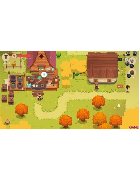 -19135-Switch - Moonlighter - Imp USA-0850070166126