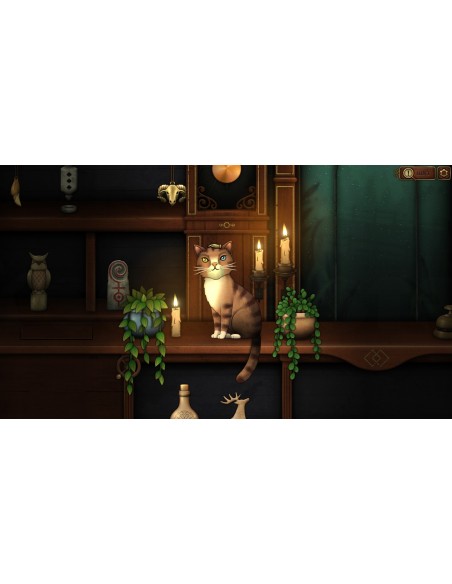 -19320-Switch - Strange Horticulture & Antiquities-5061078711514