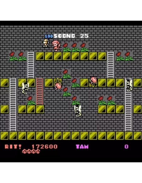 -19673-Retro - Rod Land Collectors Edition NES-0849172017450