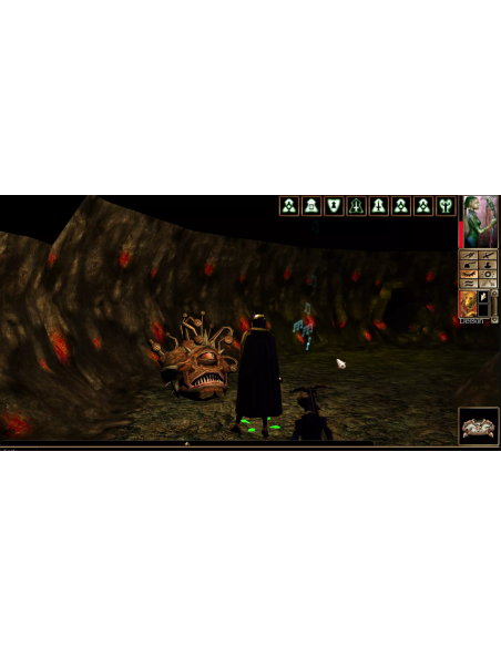 -20067-Switch - Dungeons & Dragons Neverwinter Nights 2: Enhanced Edition - Standard Edition - LRG-0840486505268