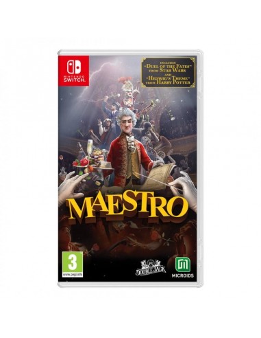 20486-Switch - MAESTRO-3701529517044