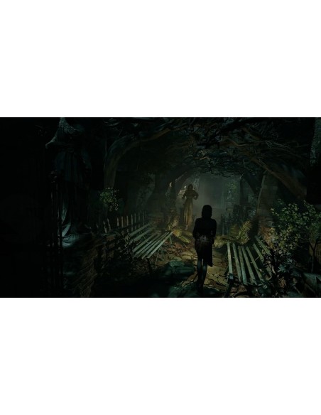 -20647-Switch 2 - Tormented Souls II-5060690798385