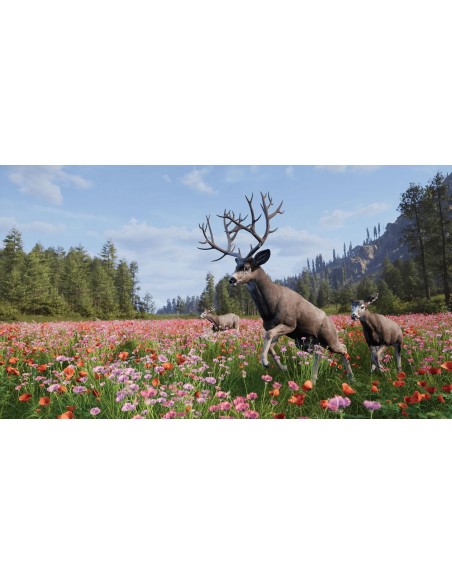-20732-PS5 - Way of the Hunter 2 Deluxe Edition-9120131605606